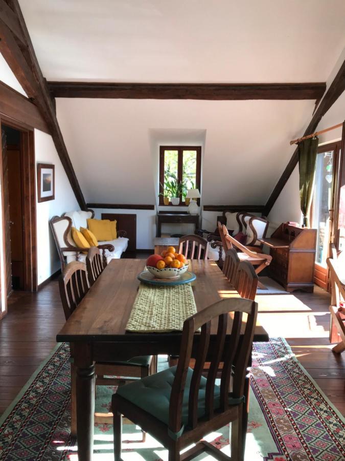 Castle View Menthon Villa Bagian luar foto